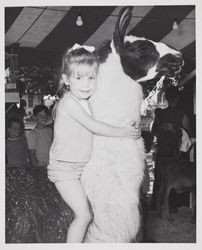 Margaret Suggs and a llama at the Sonoma County Fair, Santa Rosa, California