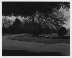 Juilliard Park, Santa Rosa, California, 1959