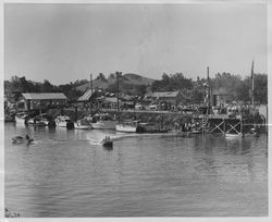 Boats moored at the Petaluma Yacht Club's temporary harbor on the Petaluma River during Harbor Day, Petaluma, California, August 15, 1940