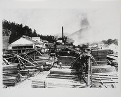 D. M. L. & L. Co. Sawmill, 1910. Duncans Mills, California