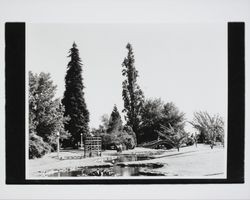 Juilliard Park in Santa Rosa, California, 1952