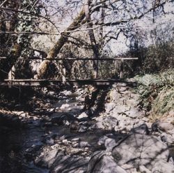 Wooden foot bridge over the Santa Rosa Creek