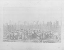 High pole hop field and pickers, Graton, California, about 1900