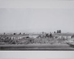 Pepper Road entrance to Volkerts ranch and dairy, Two Rock, California, 1940s