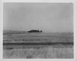 Views of the Indian mound at Olompali, California, about 1960