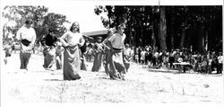 Children participating in a sack race at the Old Adobe Fiesta, Petaluma, California, about 1963