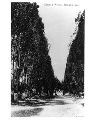 Cemetery Avenue, Petaluma, California