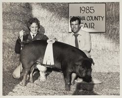 FFA Grand Champion sow at the Sonoma County Fair, Santa Rosa, California, 1985