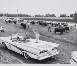 California Dairy Princess at the Sonoma County Fair, Santa Rosa, California, July 21, 1958