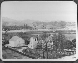 Unidentified Sonoma County farm, Sonoma County, California, 1900