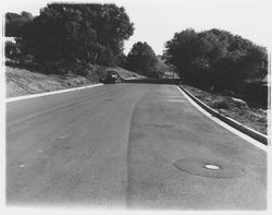 Alta Vista Avenue, Santa Rosa, California, 1964