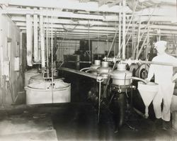 Unidentified man standing alongside milk separators at the Petaluma Cooperative Creamery, about 1930