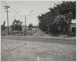 Intersection of Pepper Road and Hammel Lane, Petaluma, California, April 18, 1953