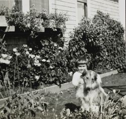 Wilfred Everett Bixby, Jr. and his dog at the Bixby house, 415 Perkins Street, Oakland, California, about 1910