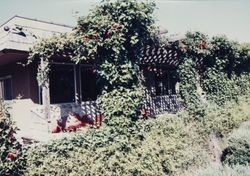 Exterior of Salt Point Lodge on the Sonoma County coast, 1985