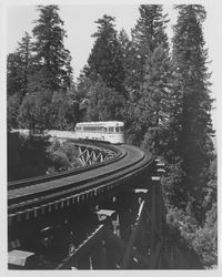 M-300 Skunk on the California Western Railroad between Fort Bragg and Willets, Willits, California, 1965