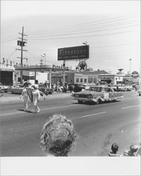 Companions of the Forest of America entry in the Sonoma-Marin Fair Parade, Petaluma, California, 1978