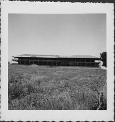 Petaluma Adobe prior to restoration, Petaluma, California, about 1963