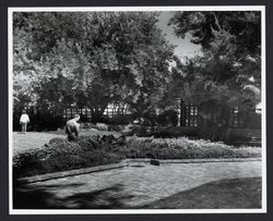 View of the Luther Burbank gardens, Santa Rosa, California, 1967