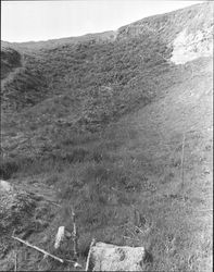 Remains of Roblar Gold Mine and surrounding area., Petaluma, California, 1967