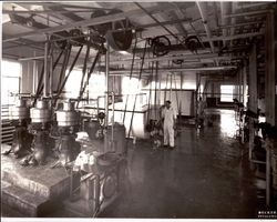 Interior of Petaluma Cooperative Creamery Plant, Petaluma, California, about 1938