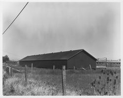 Sonoma County chicken coops