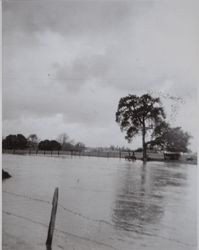 Petaluma River at high water, Petaluma, California, 1940