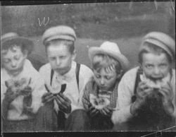 Schuler and Kortum boys eating melons, Petaluma, California, 1900