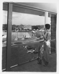 Pool area at the Flamingo Hotel, Santa Rosa, California, 1959