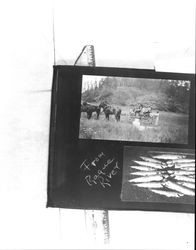 Jack London on his way to Oregon, Rogue River, Ore., 1911