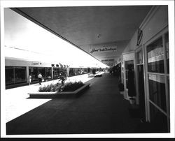 Shops at Coddingtown Mall