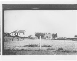 Unidentified rural houses of Petaluma, California, about 1910