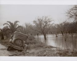 Russian River flood at Healdsburg, California, 1937