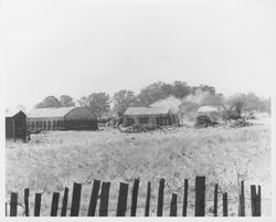 California Charcoal Company, Windsor, California, September 16, 1952