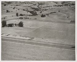 Aerial view of Sky Ranch Airport, Petaluma, California, 1953