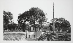 Eagle School, Penngrove, California, approximately 1906