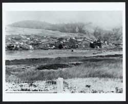 View of Jenner, looking northeast