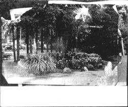 Planters at entrance to Rio Nido