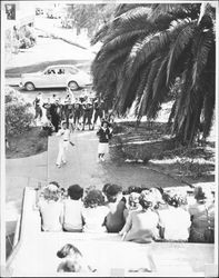 Football rally, Petaluma, California, 1947