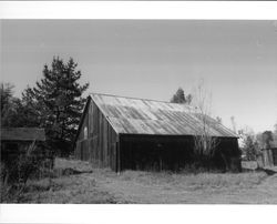 Dairy barn on Andresen Ranch, Penngrove, California, 1992