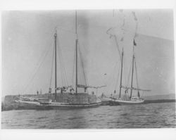 Pair of scow schooners load hay from the river bank, Petaluma, California, 1893