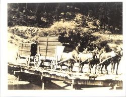 Mule team on the summer bridge across the Russian River, Guerneville, California, 1876