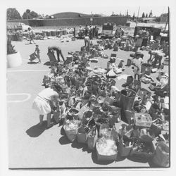 Workers sort glass at the Recycling Center, Santa Rosa, California, 1971