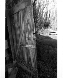 Dairy barn on Andresen Ranch, Penngrove, California, 1992