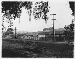 Rear view of Saint Francis Acres model homes at 5720-5802 Monte Verde Drive, Santa Rosa, California, 1958