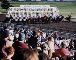 Horses leave the starting gate at the Sonoma County Fair Racetrack, Santa Rosa, California