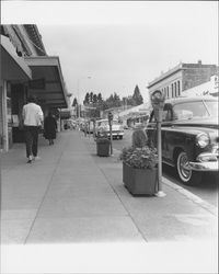 Looking up Kentucky Street towards Hill Plaza Park, Petaluma, California, 1968