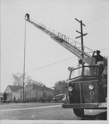 Petaluma Fire Department practicing drills, Petaluma, California, about 1958