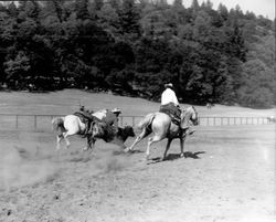 Rodeo at Palamino Lakes