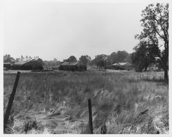 California Charcoal Company, Windsor, California, September 8, 1952